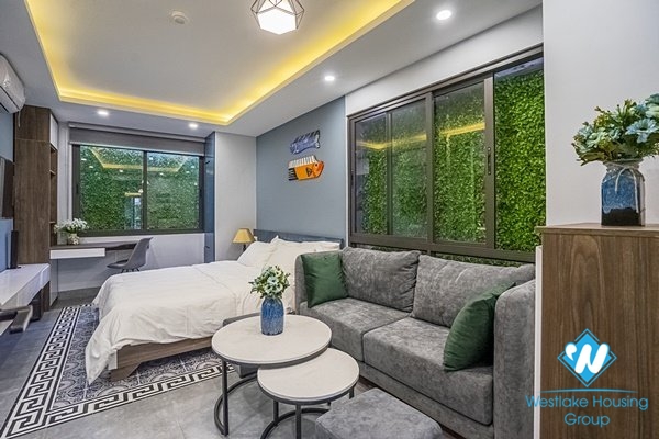 Stunning studio for rent in Hoan Kiem